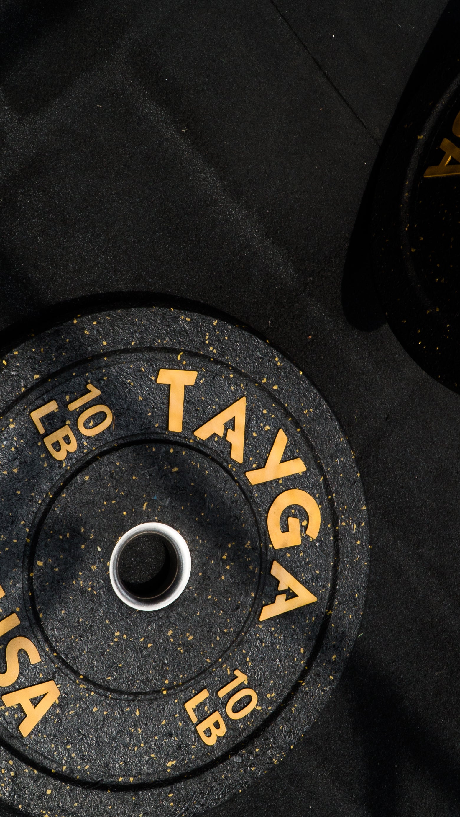 Discos – Tayga