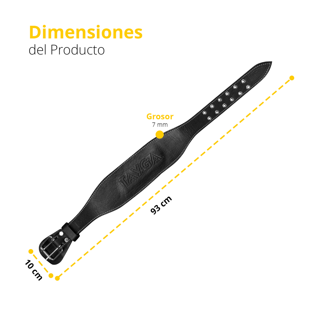 Cinturón negro chico