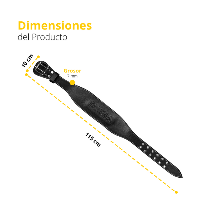 Cinturón negro grande