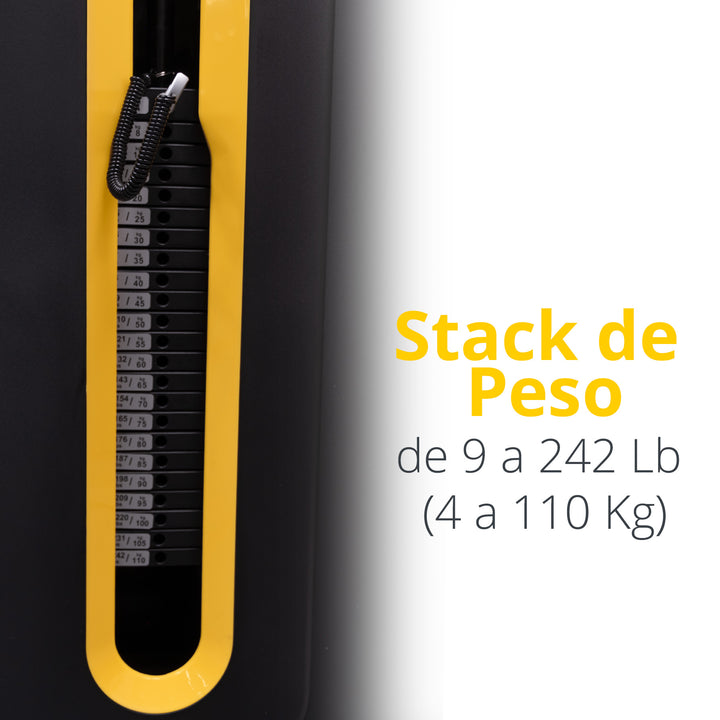 Equipo TAYGA-PRO polea para jalón espalda