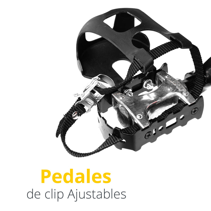 Bicicleta estatica LSP303