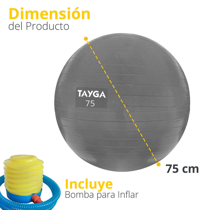 Pelota Tayga, yoga plata 75 cm c/bomba