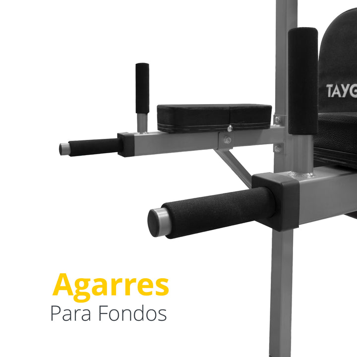 Torre Multifuncional Abdominales Gris