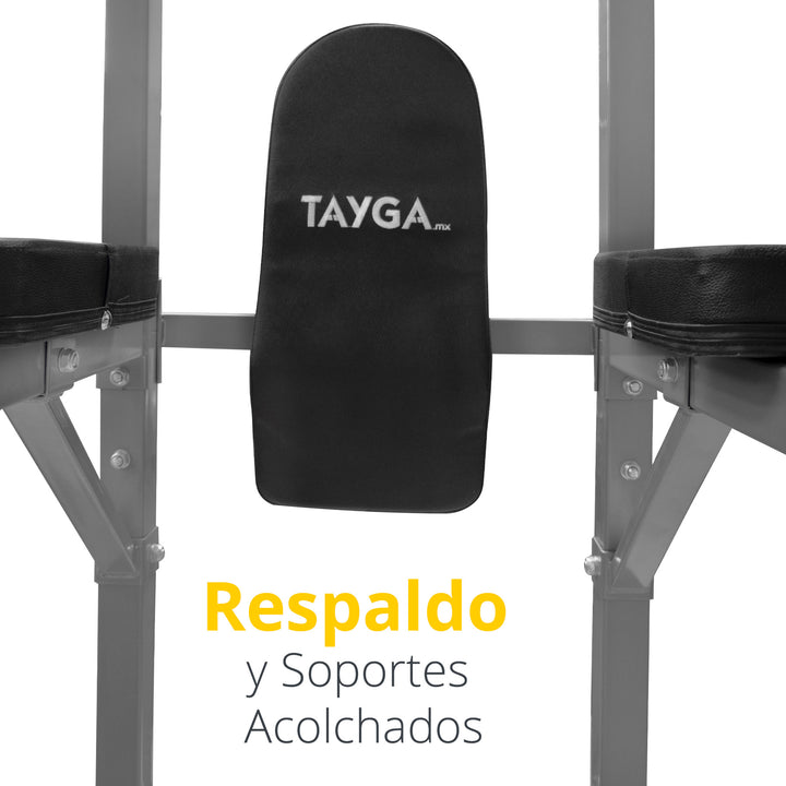 Torre Multifuncional Abdominales Gris